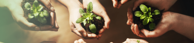 Who does the Corporate Sustainability Reporting Directive apply to